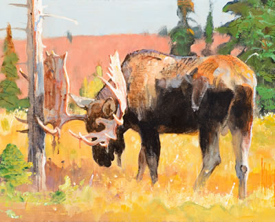 Velvet Removal (1991)