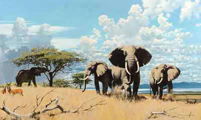 Elephants (1965) by Keith Hope Shackleton - Auction record, sale price, and art valuation. Compare with similar artists and explore comparable artworks.