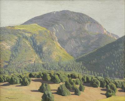 Tree-Covered Mountains