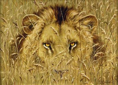 Lion Eyes by Guy Coheleach - Auction record, sale price, and art valuation. Compare with similar artists and explore comparable artworks.