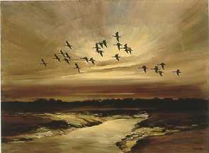 Morning Flight