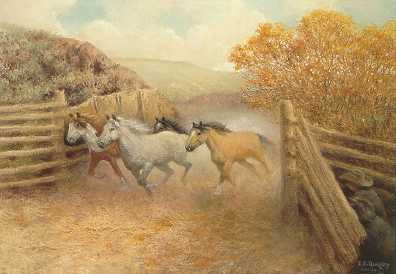 Horse Capture