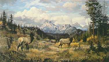 High Country Elk by Elmer Sprunger - Auction record, sale price, and art valuation. Compare with similar artists and explore comparable artworks.