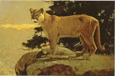 The Surveyor