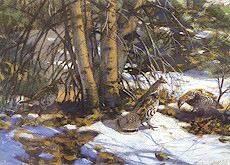 Winter Grouse
