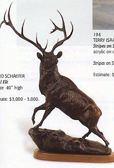 Royal Elk