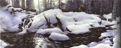 High Creek Crossing