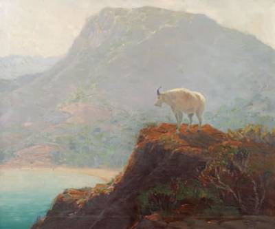 Mountain Goat