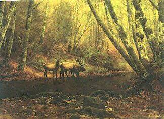 Phantoms of the Forest by Roger Cooke - Auction record, sale price, and art valuation. Compare with similar artists and explore comparable artworks.