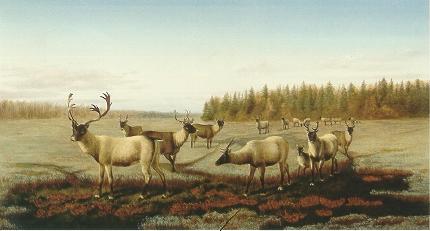 Caribou by William Hays Sr - Auction record, sale price, and art valuation. Compare with similar artists and explore comparable artworks.