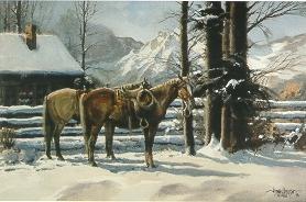 A Cold Day for Cow Ponies