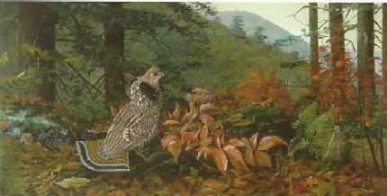 Autumn in the Adirondacks