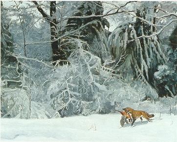 Fox and Pheasant