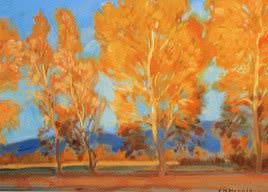 Autumn Colors