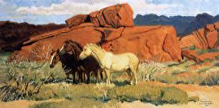 In the Valley of Fire