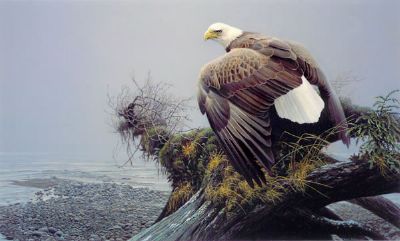 Vantage Point
