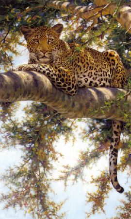 Guy Coheleach - artist photo