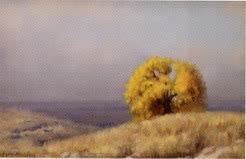 Cottonwood Tree