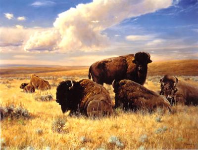 Buffalo Family by Nancy Glazier - Auction record, sale price, and art valuation. Compare with similar artists and explore comparable artworks.
