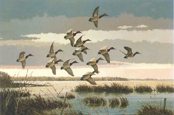 Morning Flight