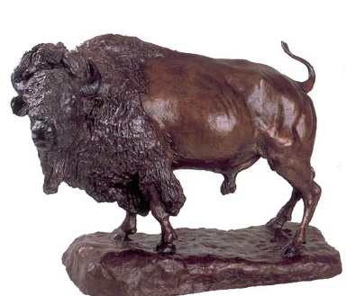 Herd Bull