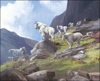 The Great Northern