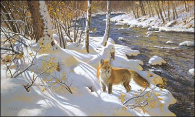 Black River Snow