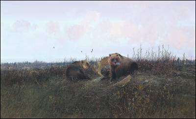 Grizzlies