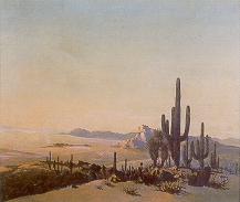 Desert Cactus