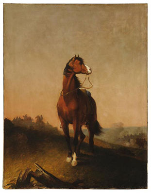 The War Horse