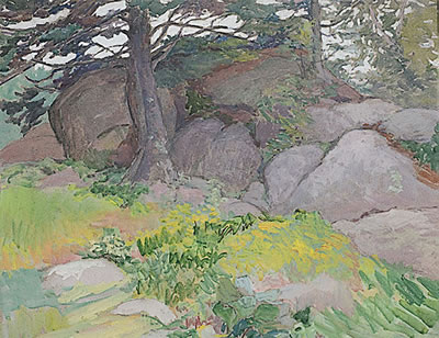 FOREST CLEARING