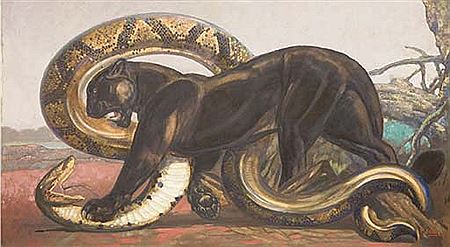 Black panther fighting a python