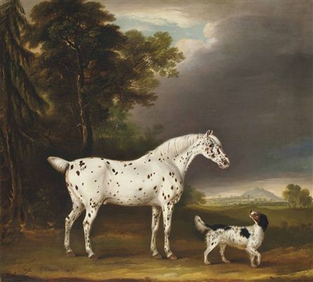 Cheval Appaloosa et épagneul
