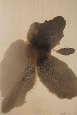 Withered Lotus
