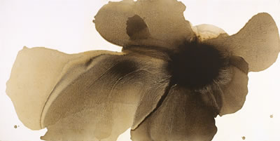 Ambiguous Flower