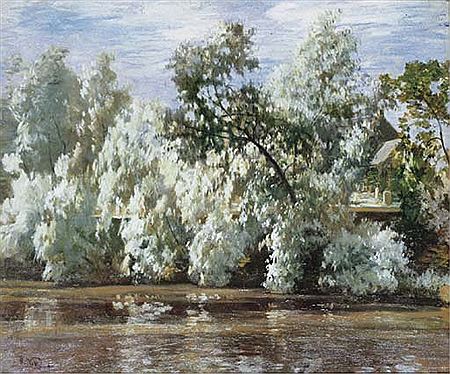 Willows