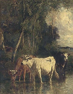 Cattle at the river