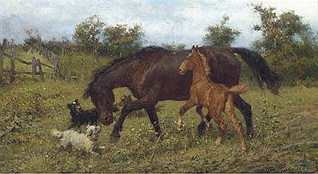 Frolicking in the meadow
