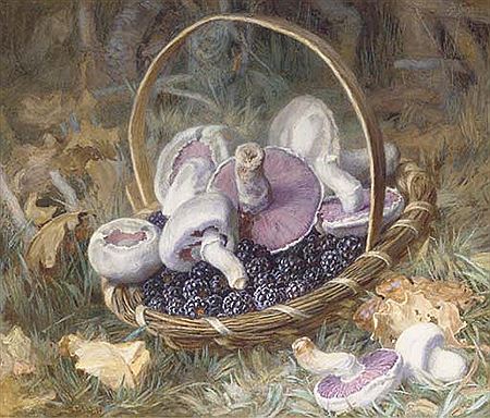 Basket of wild mushrooms and blackberries