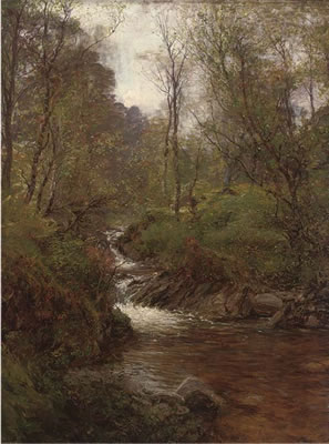 A wooded stream