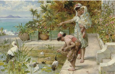 Feeding the Ibis