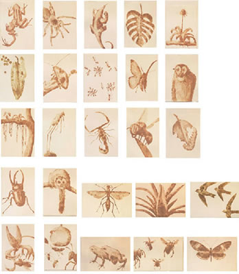 Flora and fauna painting