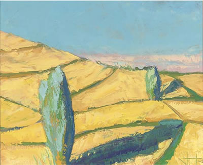 Barley field, South Wicklow
