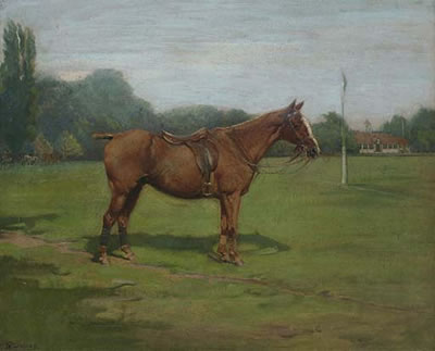 A chestnut polo pony, Monte Carlo, in a playing field