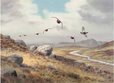 Driven grouse by Richard Robjent - Auction record, sale price, and art valuation. Compare with similar artists and explore comparable artworks.