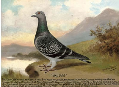 Sample artwork by Andrew Beer (Born 1894), known for racing pigeons - View similar artists and auction records