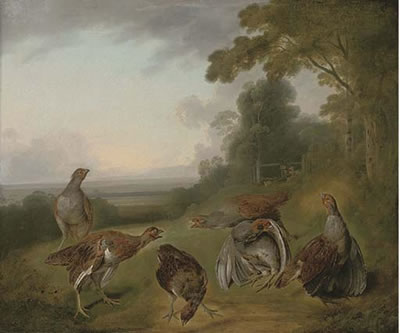 Grey partridge in a extensive landscape, with hunters beyond