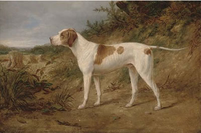 The stud pointer Major by William Luker Sr - Auction record, sale price, and art valuation. Compare with similar artists and explore comparable artworks.