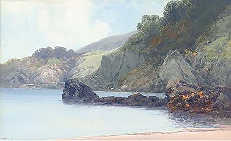 A Devonshire cove