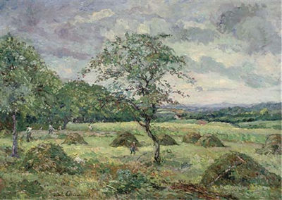 Les foins dans le champ du parc